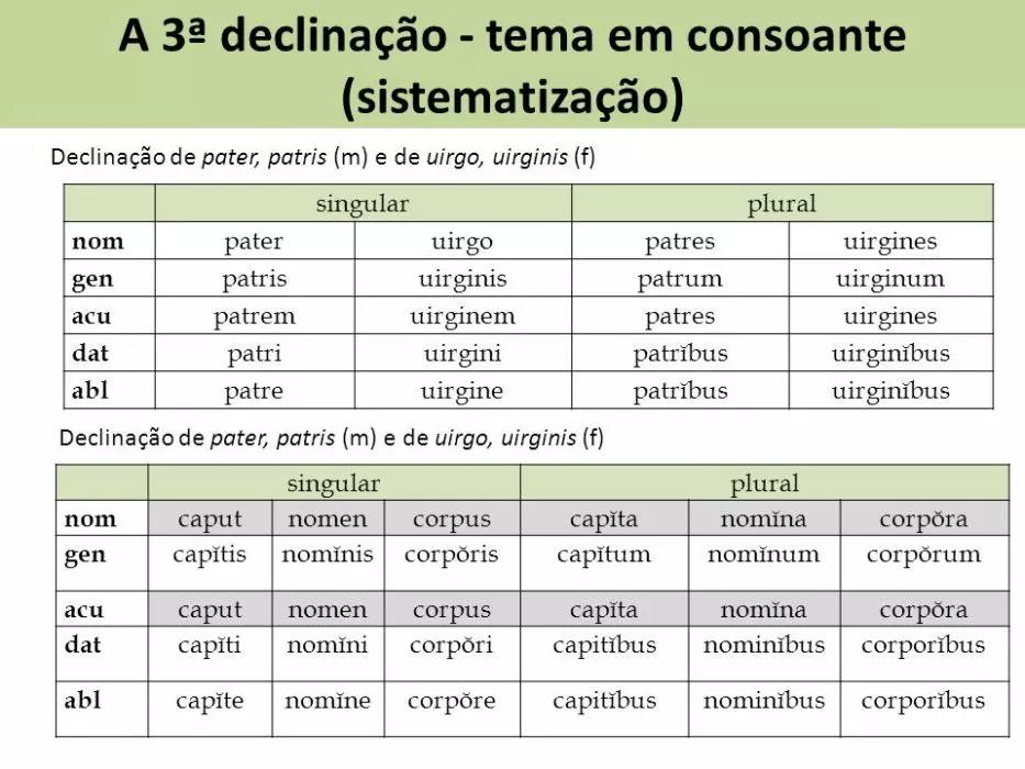 Tabela Declinações Latim Pdf - RETOEDU